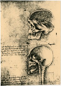 Anatomisk skisse, to studier av en menneskeskalle, c1489 av Leonardo da Vinci