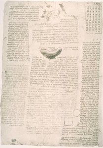 Anatomiestudien av Leonardo da Vinci