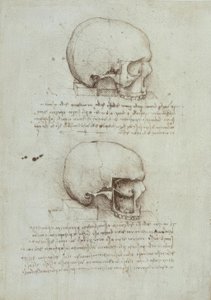 Anatomiestudien av Leonardo da Vinci