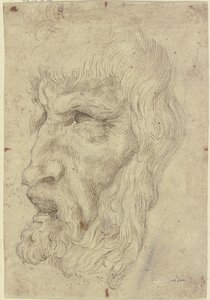 av Leonardo da Vinci