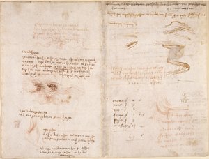 Arundel 263, f.278v, f.271 Notater om virkelighetssansen i drømmer, på vann, og elvene Sieve og Arno (opp-ned), fra 