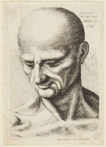 Den skallede mannen av Leonardo da Vinci