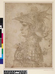  av Leonardo da Vinci