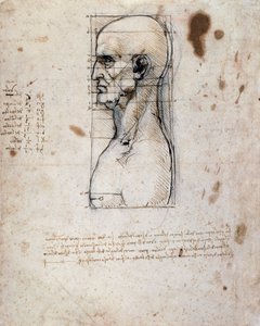 Byste av en mann i profil med mål og notater (sepia blekk på linpapir) av Leonardo da Vinci