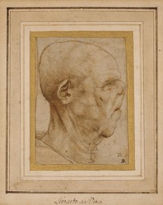 Karikatur av hodet til en gammel mann, i profil til høyre, ca. 1507 av Leonardo da Vinci