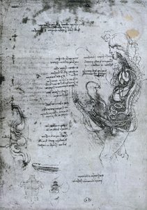Coition of Hemisected Man and Woman, faksimilekopi av Leonardo da Vinci