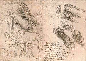 Tegning som illustrerer representasjonen av hår som faller ned i krøller, c1472-c1519 1883 av Leonardo da Vinci