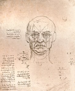Tegning som illustrerer teorien om proporsjonene i den menneskelige figuren, c1472-c1519 1883 av Leonardo da Vinci