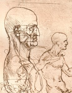 Tegning som illustrerer teorien om proporsjonene til den menneskelige figuren, c1472-c1519 1883 av Leonardo da Vinci