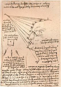 Tegning av et mannlig hode, som illustrerer praksisen med å male, c1472-c1519 1883 av Leonardo da Vinci