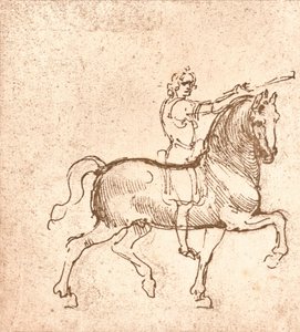 Tegning av en gåhest, c1472-c1519 1883 av Leonardo da Vinci