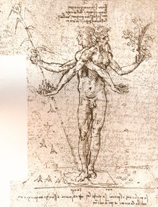 Tegning av en allegorisk komposisjon, c1472-c1519 1883 av Leonardo da Vinci