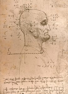 Tegning av hodet til en kriminell, c1472-c1519 1883 av Leonardo da Vinci