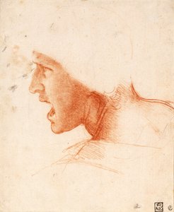  av Leonardo da Vinci