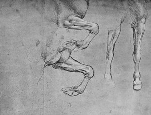 Four Studies of Horses Legs, c1480 1945 av Leonardo da Vinci