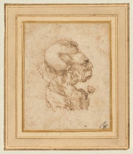 Et grotesk hode av en gammel kvinne av Leonardo da Vinci
