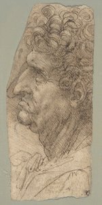  av Leonardo da Vinci