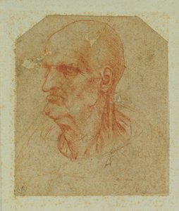 Hodet til en skjeggløs gammel mann, venstre profil (rødt kritt på papir) av Leonardo da Vinci