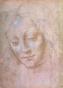 Hodet til en kvinne (metallspiss forhøyet med gouache) av Leonardo da Vinci