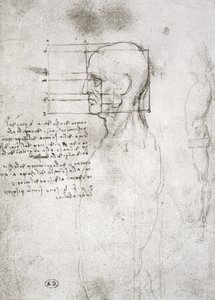 Leder for en gammel mann i profil, faksimilekopi (penn og blekk på papir) av Leonardo da Vinci