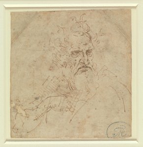 Hodet til en gråhåret mann med et strengt uttrykk og høyre arm av Leonardo da Vinci