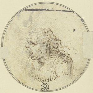  av Leonardo da Vinci
