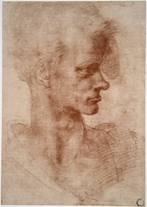 Leonardo da Vinci (Leonardo da Vinci) (1452 - 1519): Karikaturportrett av en ung mann (Imagine) av Leonardo da Vinci