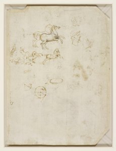  av Leonardo da Vinci