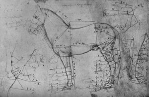 Målt tegning av en hest i profil til venstre, c1480 1945 av Leonardo da Vinci