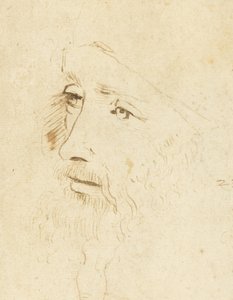 Portrett av Leonardo da Vinci, ca 1518. av Leonardo da Vinci,