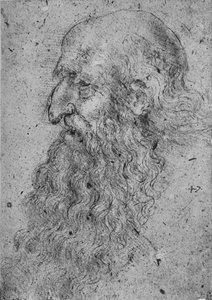 Profil av en gammel, skjeggete mann til venstre, c1480 1945 av Leonardo da Vinci