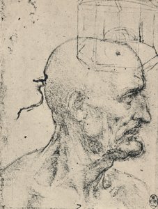 Profil til høyre for en skallet mann, c1480 1945 av Leonardo da Vinci