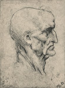 Profil til høyre for en eldre skallet mann, c1480 1945 av Leonardo da Vinci