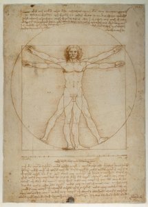 Skjema av proporsjoner av den menneskelige figuren ifølge Vitruvius av Leonardo da Vinci