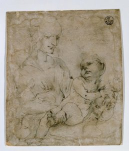 Studie for Madonna og katt av Leonardo da Vinci