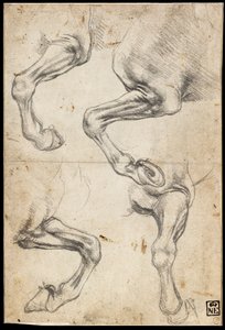  av Leonardo da Vinci