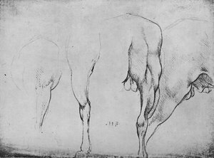 Studies of Horses Legs, c1480 1945 av Leonardo da Vinci
