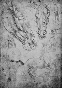 Studier av hester og hestehoder, c1480 1945 av Leonardo da Vinci
