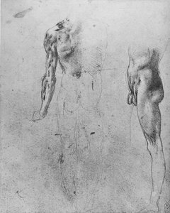 Studier av en naken mann sett fra baksiden og fra siden, c1480 1945 av Leonardo da Vinci
