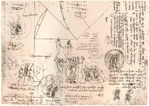 Studier av emblemer, c1472-c1519 1883 av Leonardo da Vinci