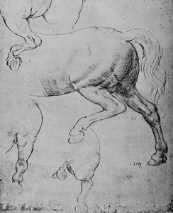 Studier av bakdelene og bakbena til en hest, c1480 1945 av Leonardo da Vinci
