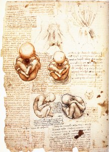  av Leonardo da Vinci