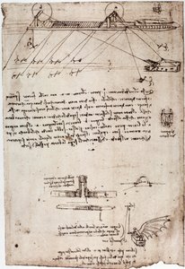 Studie for en marin mudre av Leonard de Vinci (Leonardo da Vinci) (1452 - 1519). Tegning med penn og blekk. av Leonardo da Vinci