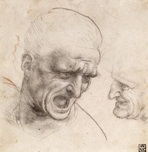  av Leonardo da Vinci