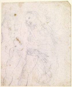  av Leonardo da Vinci