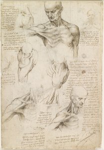  av Leonardo da Vinci