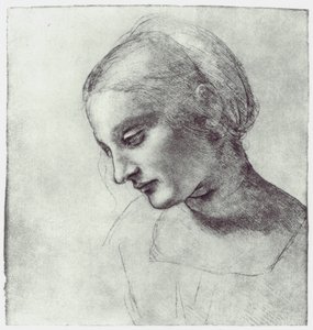 Hodet til en madonna, c1484-1486 av Leonardo da Vinci