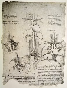 The Heart and the Circulation, faksimile av Windsor-boken (penn og blekk på papir) av Leonardo da Vinci