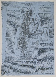 Hjertet og bronkialarteriene, faksimile av Windsor-boken (penn og blekk på papir) av Leonardo da Vinci