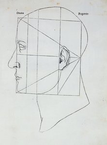 The Human Head, illustrasjon for 'Divina Proportione' av Luca Pacioli (1445-1517), 1509 av Leonardo da Vinci